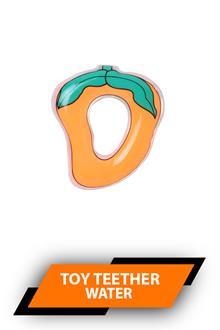 Dimpu Water Toy Teether